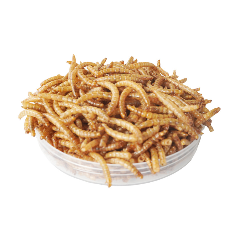 Food Snacks With Protein - Snack ad Alto Contenuto Proteico per